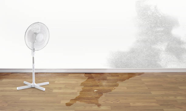 Best Water damage restoration near me  in Middleburg, PA