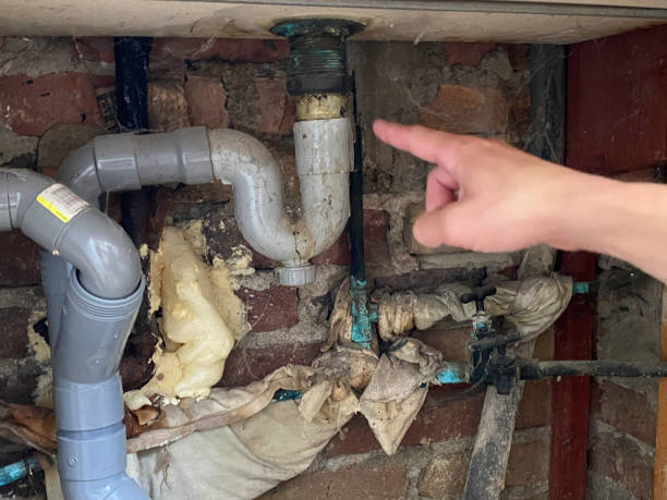 Best Flooded house restoration  in Middleburg, PA