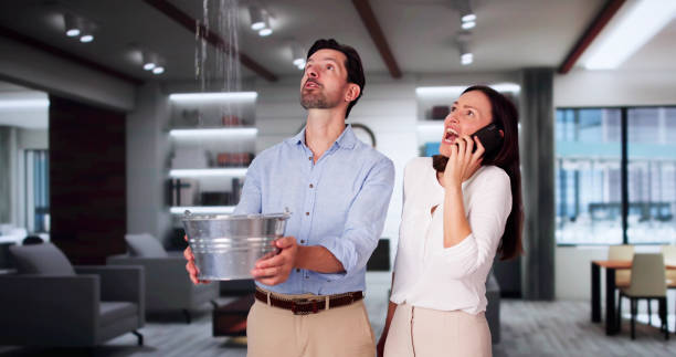 Best Water damage cleanup near me  in Middleburg, PA